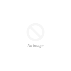 20FT Seecontainer neu